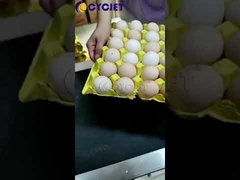 Online Egg Thermal Inkjet Printer 6 Lines Coding Machine For Date Printing